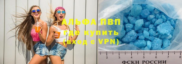 твердый Аркадак