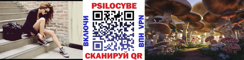Галлюциногенные грибы Magic Shrooms  купить  цена  hydra tor  Долинск 